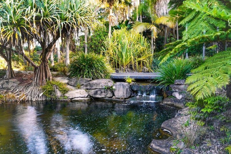 Australian Botanic Garden Mount Annan, Australia